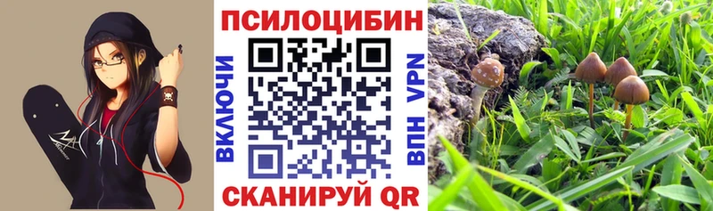 Псилоцибиновые грибы прущие грибы наркошоп Сясьстрой