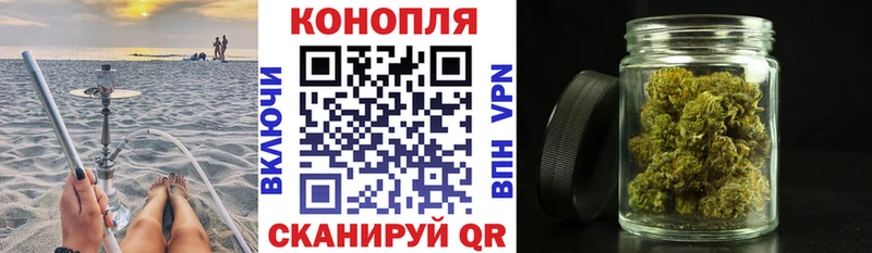 Бошки марихуана конопля  Сясьстрой 